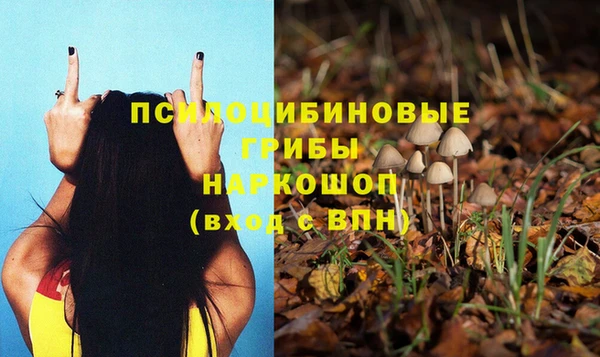 мдма Белокуриха