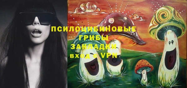 прущие грибы Белоозёрский