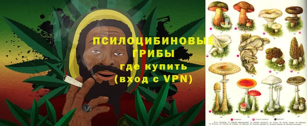 мдма Белокуриха