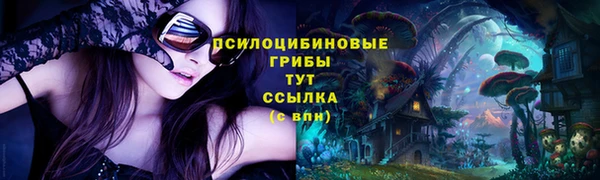 мдма Белокуриха