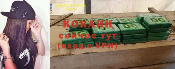 прущие грибы Белоозёрский